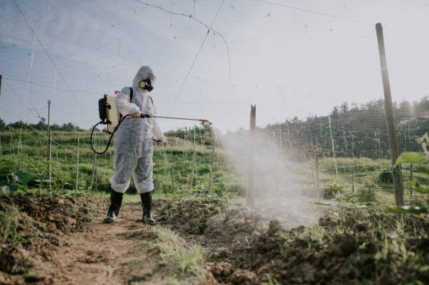 Best Pest Removal Services  in Vernon, AL