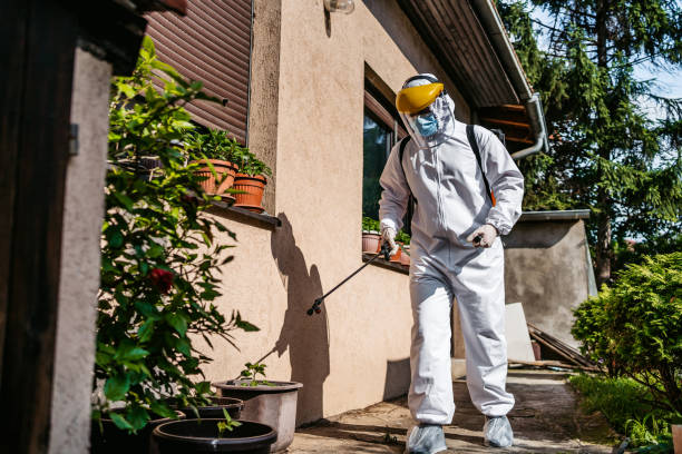 Best Insect Control  in Vernon, AL