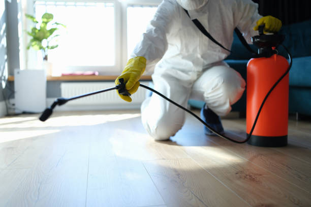 Best Flea Control Services  in Vernon, AL