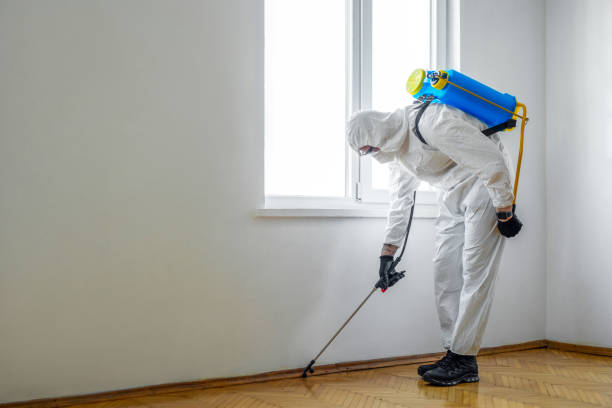Best Flea Control Services  in Vernon, AL