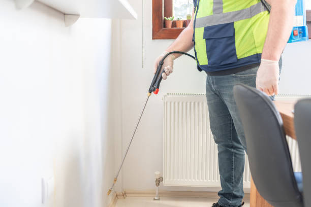 Best Affordable Pest Control Services  in Vernon, AL