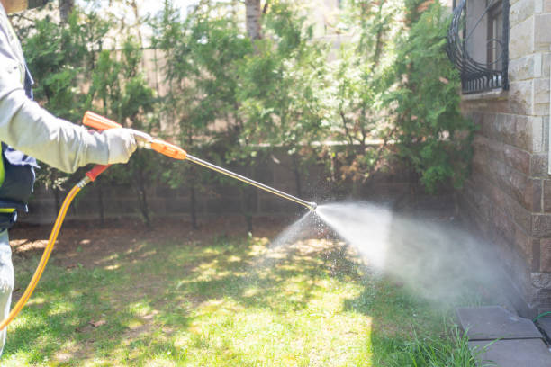 Best Best Pest Control Companies  in Vernon, AL