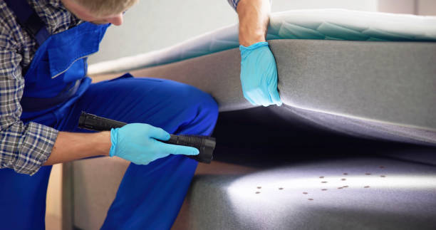 Best Affordable Pest Control Services  in Vernon, AL